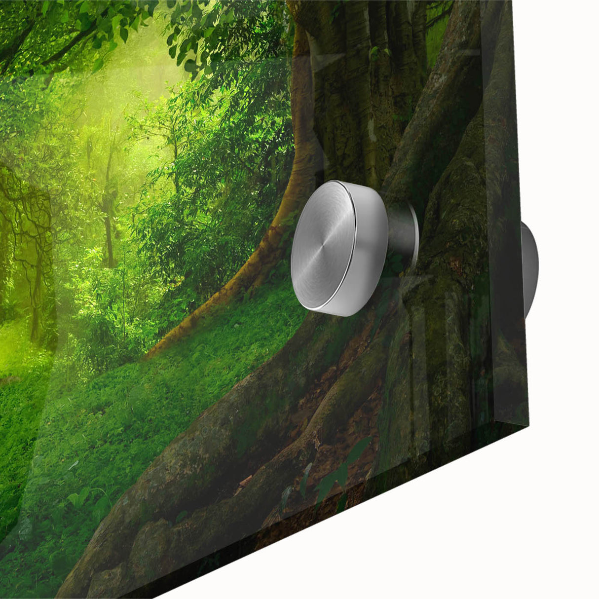 Close-up of vibrant rainforest-themed wall art featuring lush green foliage and vivid colors, printed on acrylic glass for a modern, sleek finish. Ideal for nature lovers seeking to enhance their home decor with a tropical touch.