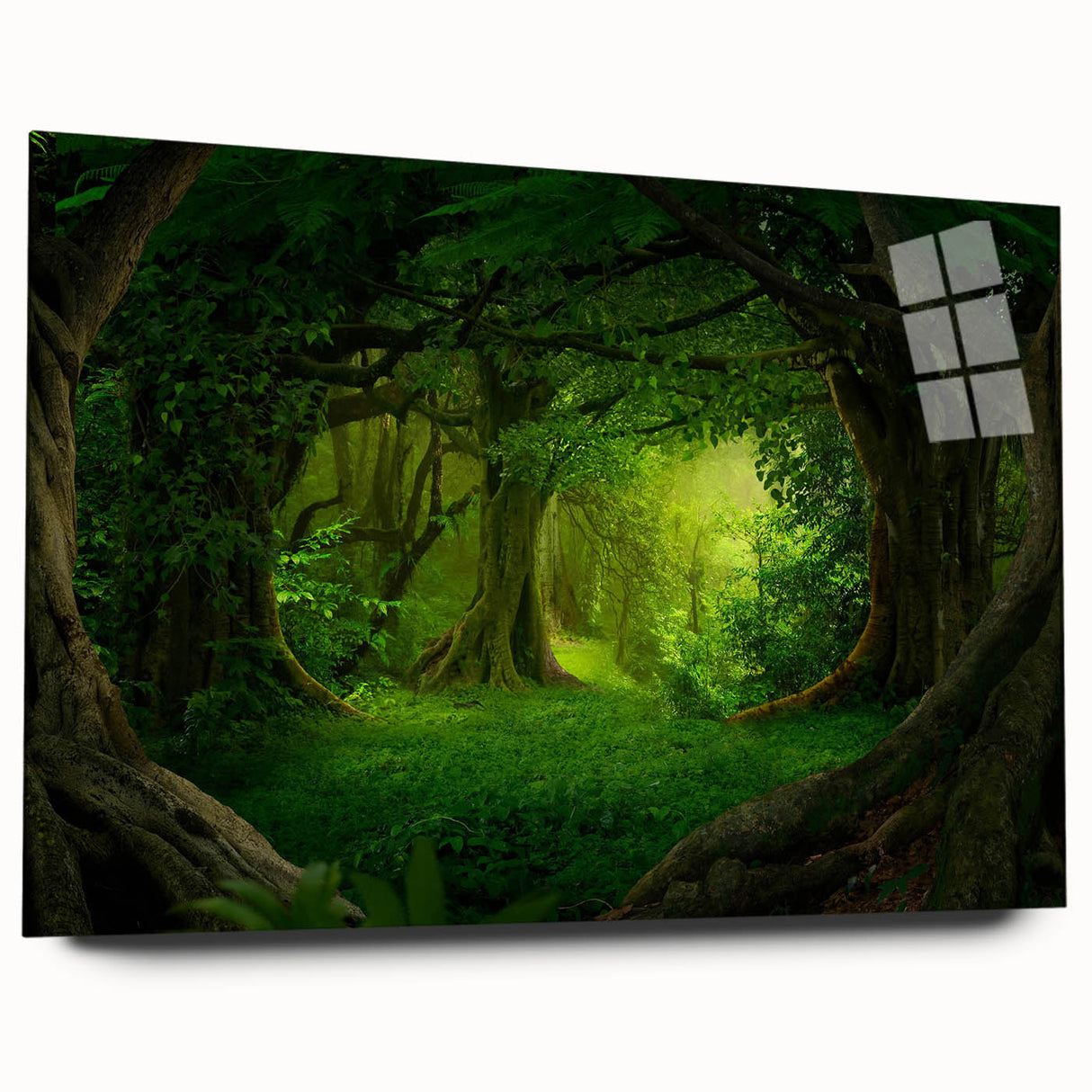 Vibrant rainforest landscape wall art design displayed in an elegant acrylic glass frame, showcasing lush greenery and rich colors for a nature-inspired decor accent.