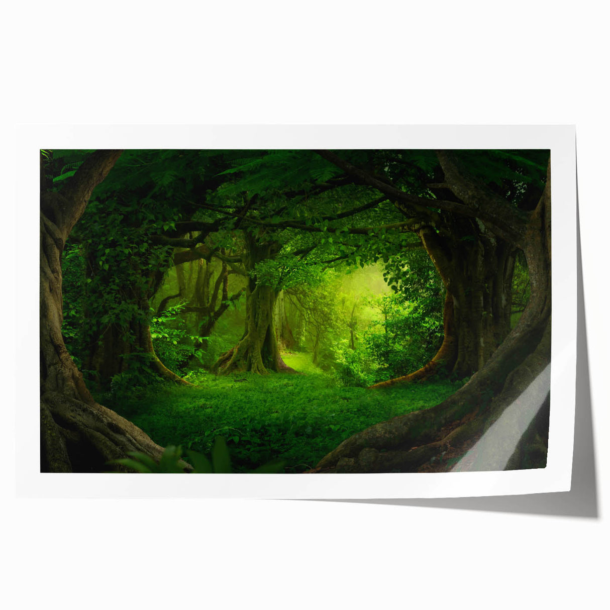 Vibrant rainforest landscape wall art print showcasing lush green foliage and tropical flora, rolled and ready for framing, perfect for nature enthusiasts.