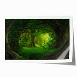 Vibrant rainforest landscape wall art print showcasing lush green foliage and tropical flora, rolled and ready for framing, perfect for nature enthusiasts.
