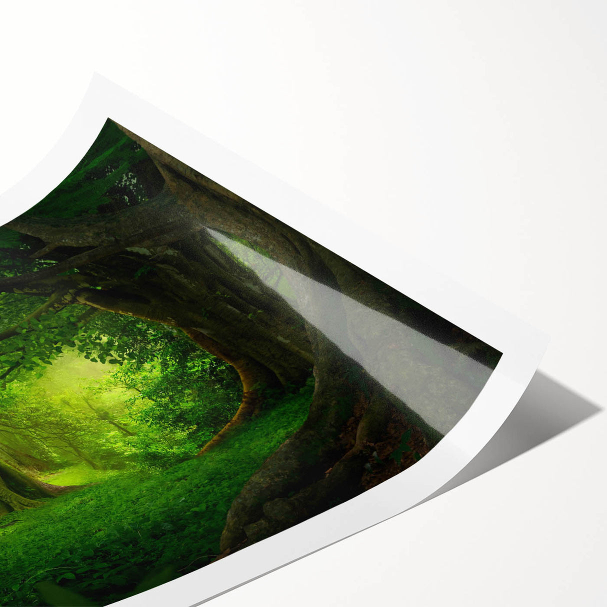 Vibrant rainforest landscape wall art print showcasing lush greenery and tropical hues, rolled for easy display and shipped in protective packaging. Ideal for nature-inspired decor.