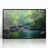 Framed acrylic wall art showcasing a vibrant rainforest landscape with lush greenery and intricate details, presented in a sleek black frame, ideal for nature-themed decor.
