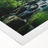 Vibrant rainforest landscape wall art printed on rolled canvas, showcasing lush greenery and intricate details, perfect for home decor or nature-themed spaces.