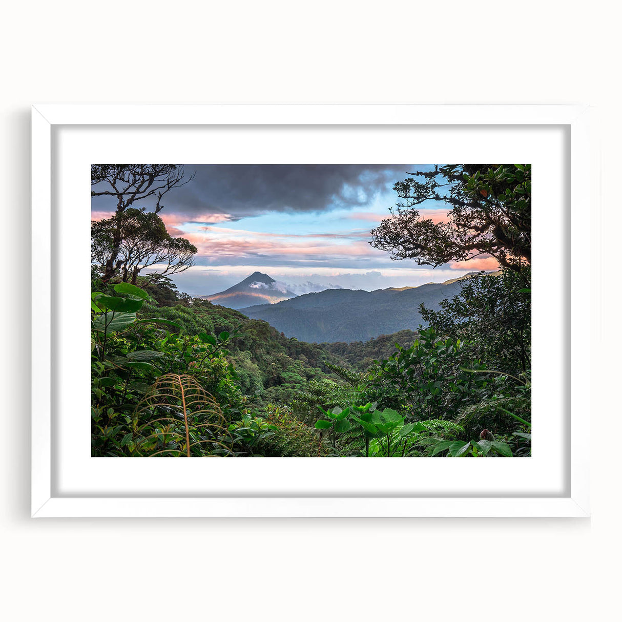 Framed wall art collection showcasing vibrant rainforest landscapes with a white mat, perfect for adding a touch of nature to modern home decor.