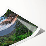 Vibrant rainforest landscape wall art print showcasing lush green foliage and tropical plants, rolled for easy shipping in a protective cardboard tube.