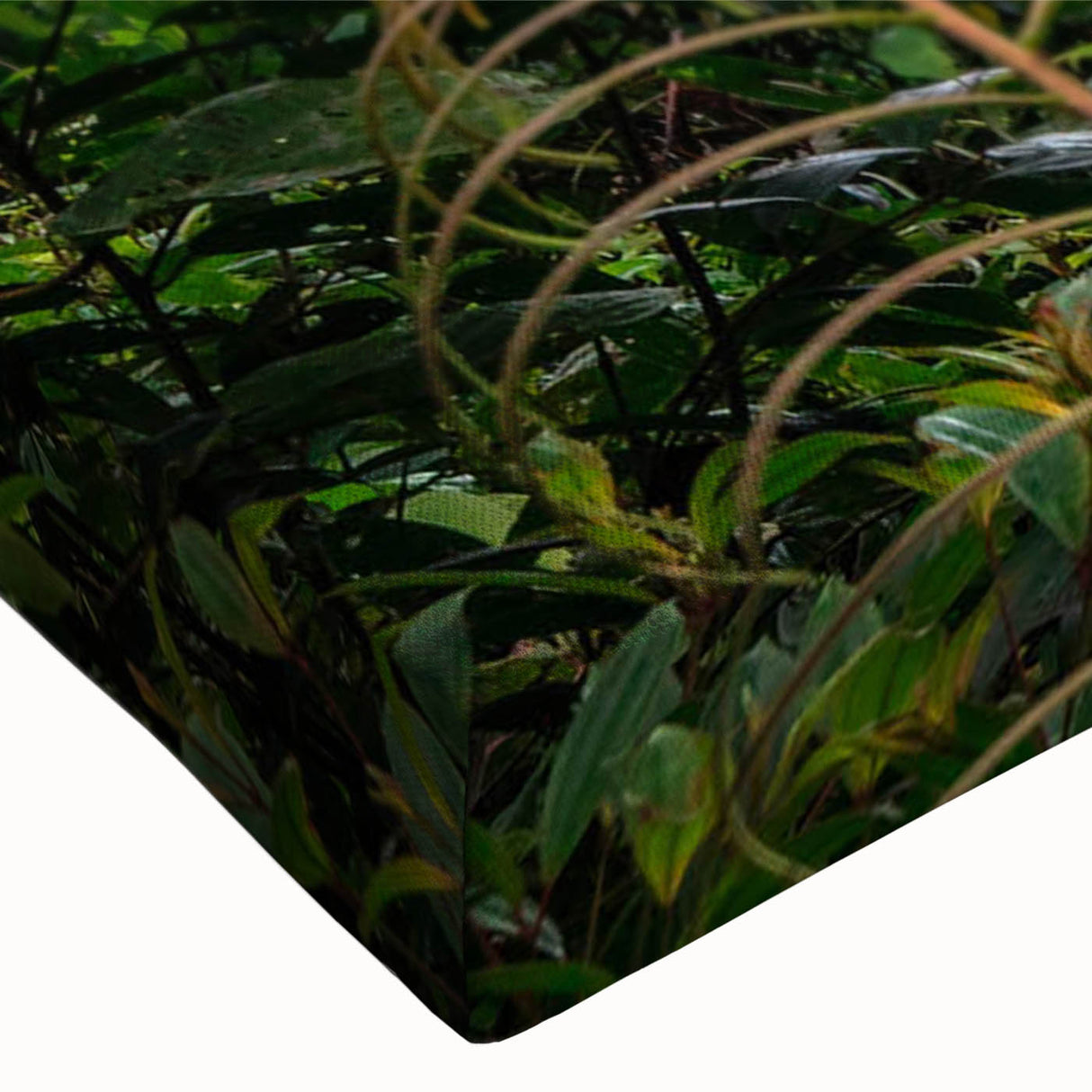 Vibrant close-up of a stretched canvas artwork depicting a lush rainforest landscape, showcasing vivid greens and intricate details, perfect for nature enthusiasts.