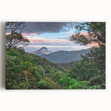 Stretched canvas art showcasing a vibrant rainforest landscape with lush green foliage and colorful tropical flowers, perfect for enhancing home decor and creating a serene atmosphere.