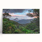 Stretched canvas wall art showcasing a vibrant rainforest landscape design with rich green foliage and colorful wildlife, perfect for adding a nature-inspired touch to home decor.