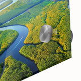 Vibrant close-up of a rainforest landscape wall art piece, featuring lush green foliage and intricate details, designed on acrylic glass for modern decor.