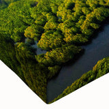 Close-up of a vibrant rainforest landscape wall art canvas featuring lush greens and vivid colors, showcasing intricate details of tropical foliage and wildlife. Perfect for enhancing home decor with an exotic touch.