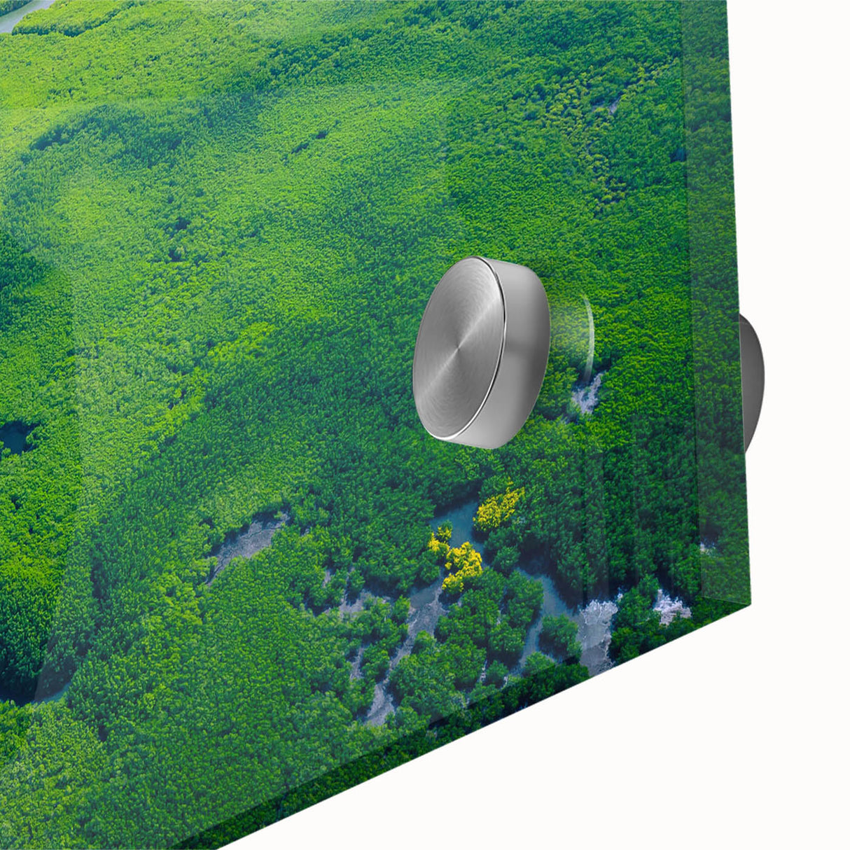 Close-up of a vibrant rainforest landscape wall art design, showcasing rich greens and blues with intricate details, printed on high-quality acrylic glass for stunning visual impact. Perfect for adding a touch of nature to modern decor.