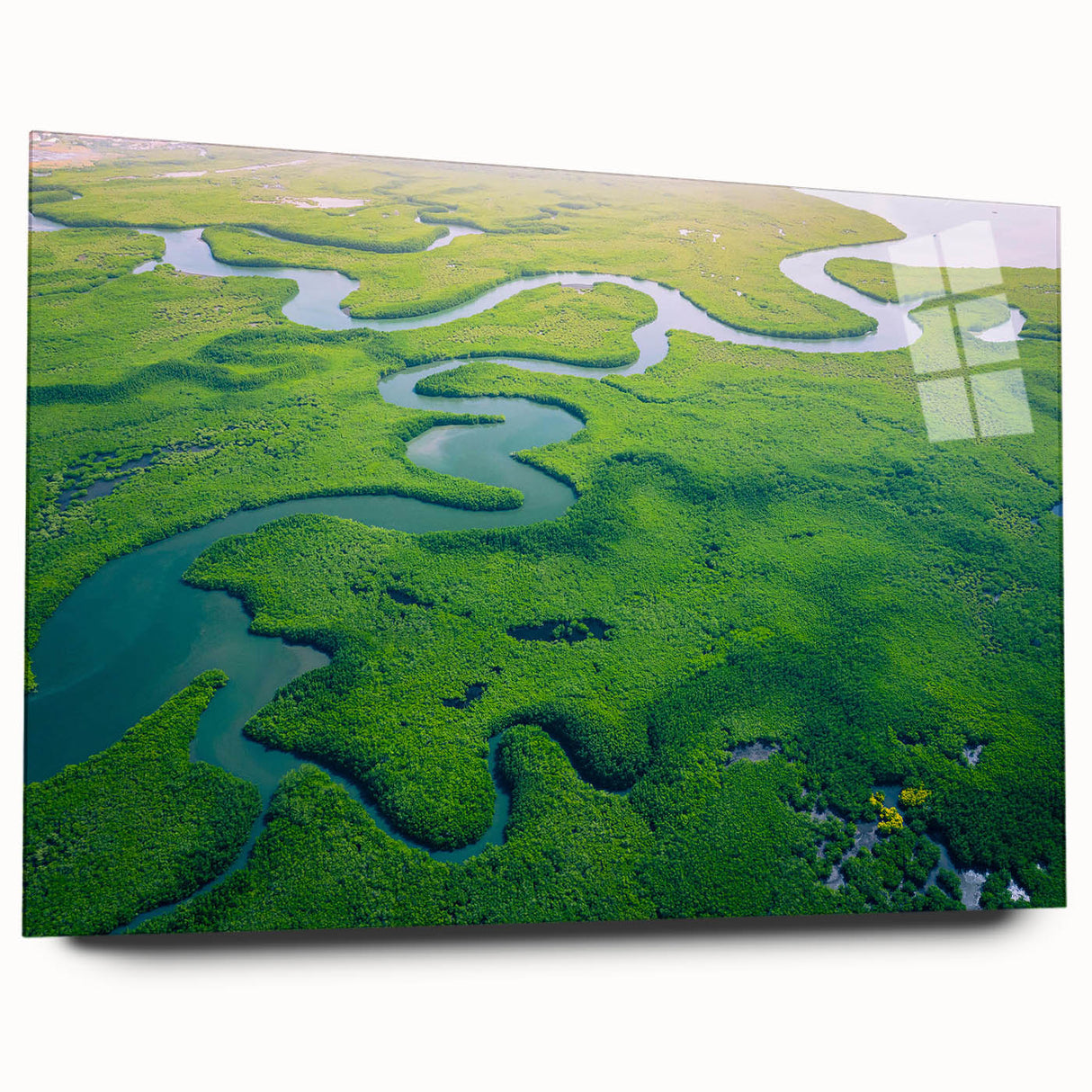 Acrylic glass wall art collection showcasing vibrant rainforest landscapes and intricate designs, featuring rich greens and blues, perfect for nature lovers' decor.