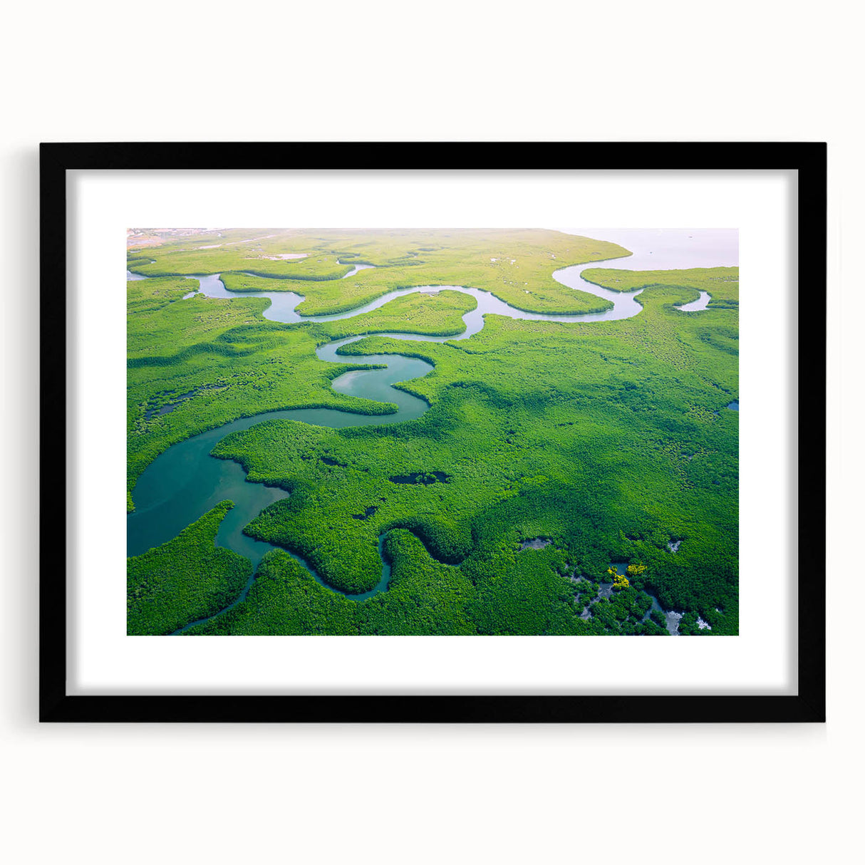 Framed rainforest landscape wall art collection with a black mat and sleek design, showcasing vibrant green foliage and intricate details, perfect for home decor.