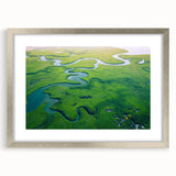 Framed rainforest landscape wall art collection in silver with a mat, showcasing vibrant greens and natural textures, ideal for home decor enhancement.
