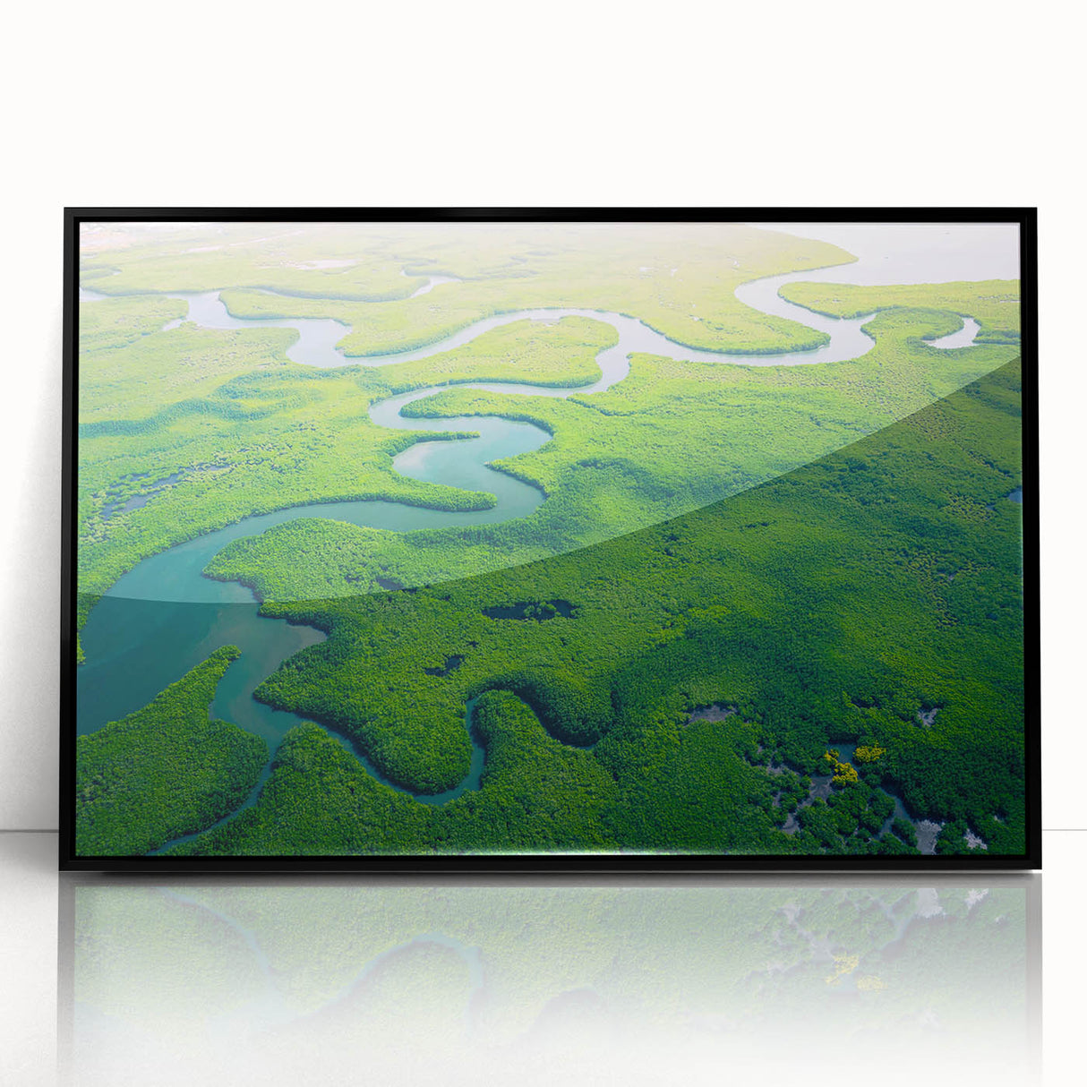 Framed acrylic wall art showcasing a vibrant rainforest landscape with lush greenery and exotic plants, featuring a sleek black frame ideal for modern decor.