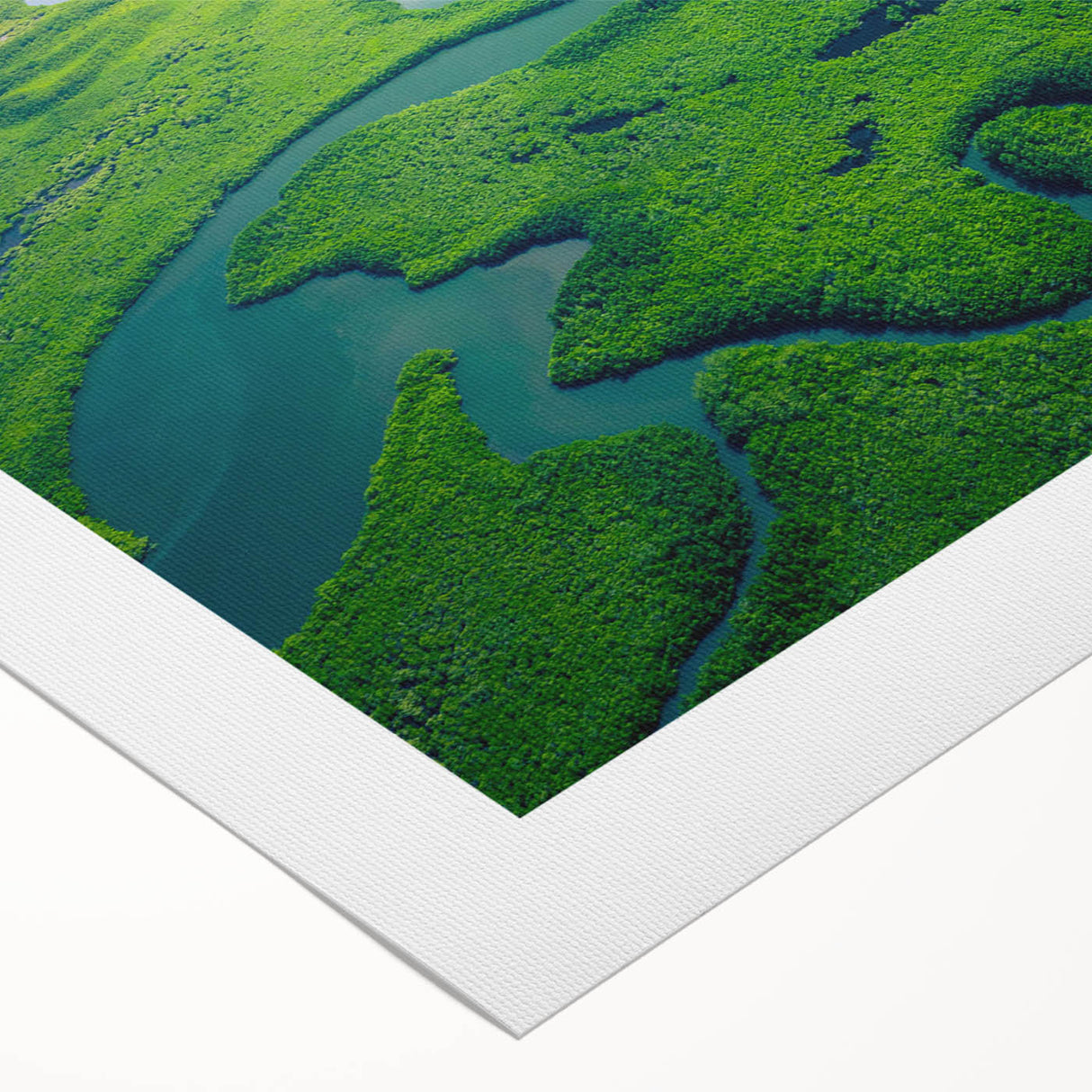 Vibrant rolled canvas showcasing a lush rainforest landscape design, featuring rich greens and intricate details, perfect for enhancing home decor.