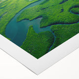 Vibrant rolled canvas showcasing a lush rainforest landscape design, featuring rich greens and intricate details, perfect for enhancing home decor.
