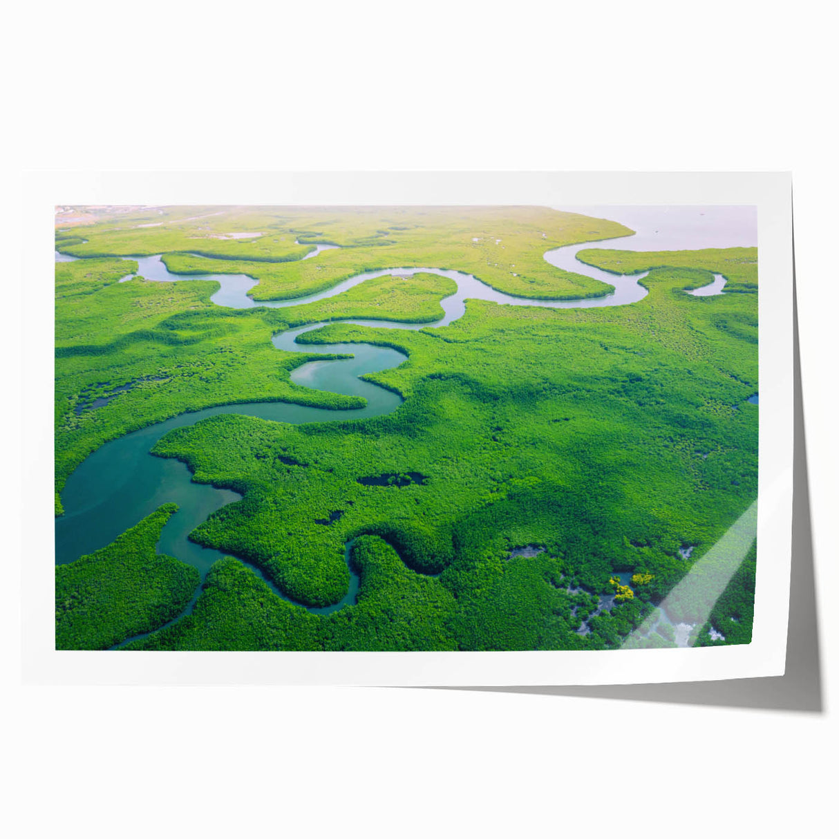 Vibrant rainforest landscape wall art print showcasing lush greenery and tropical flora, rolled for easy transport and display in any home decor setting.