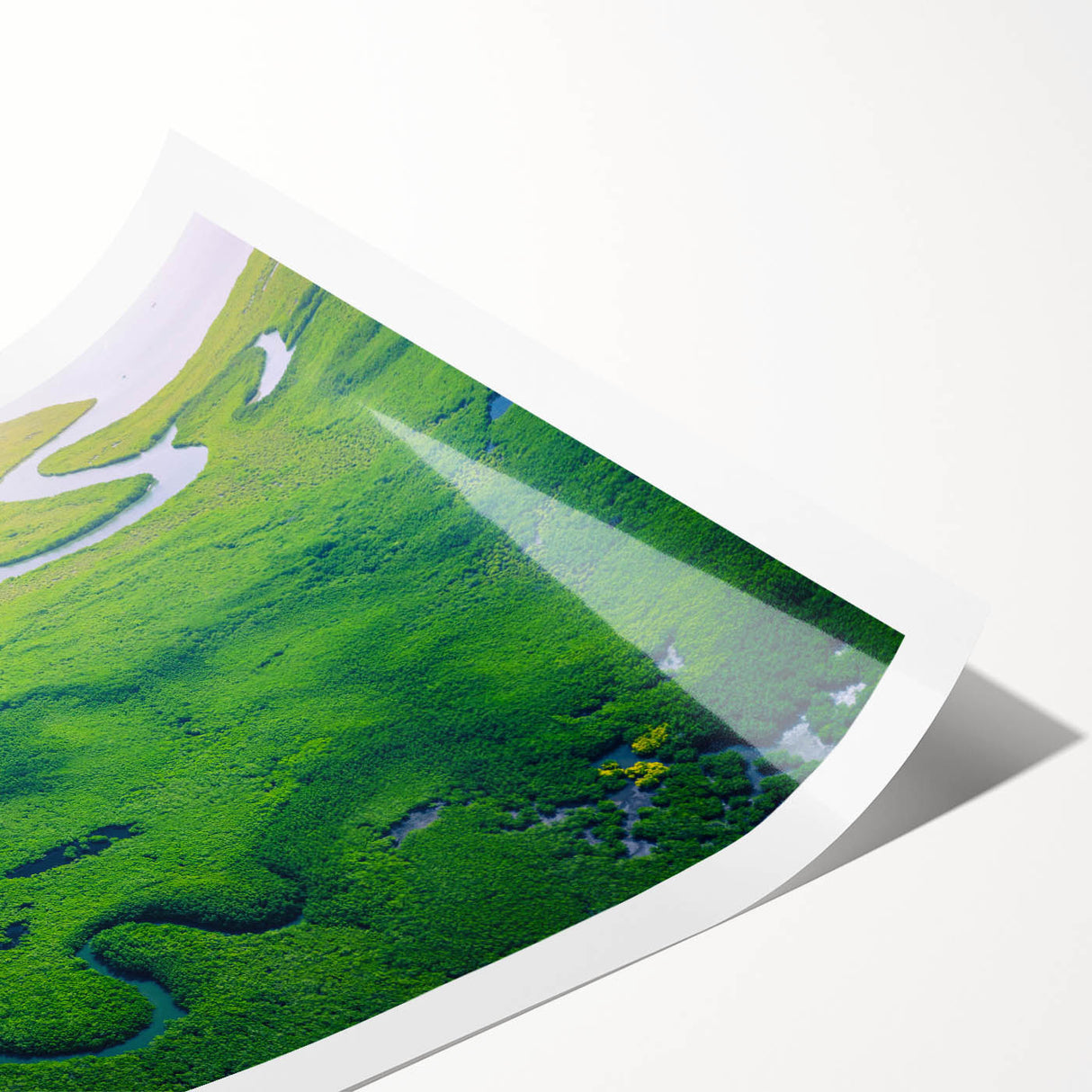 Vibrant rainforest landscape wall art print showcasing lush greenery and exotic flora, rolled for easy shipping and display in any home or office decor.