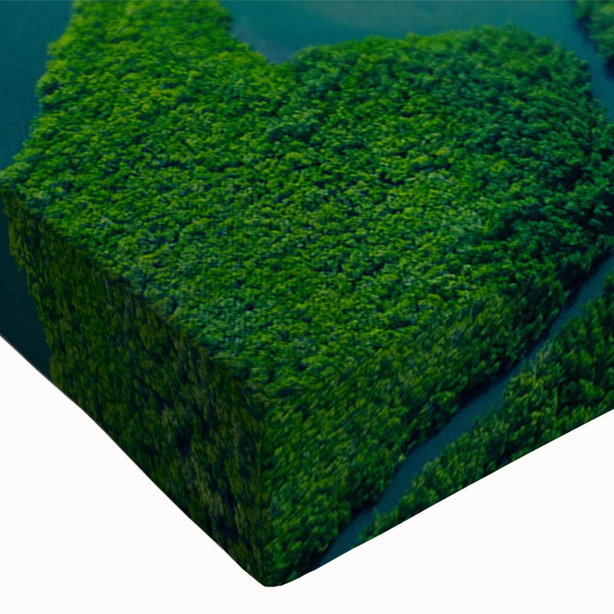 Vibrant close-up of a rainforest landscape wall art design on stretched canvas, showcasing rich greens and detailed foliage, perfect for nature-inspired decor.