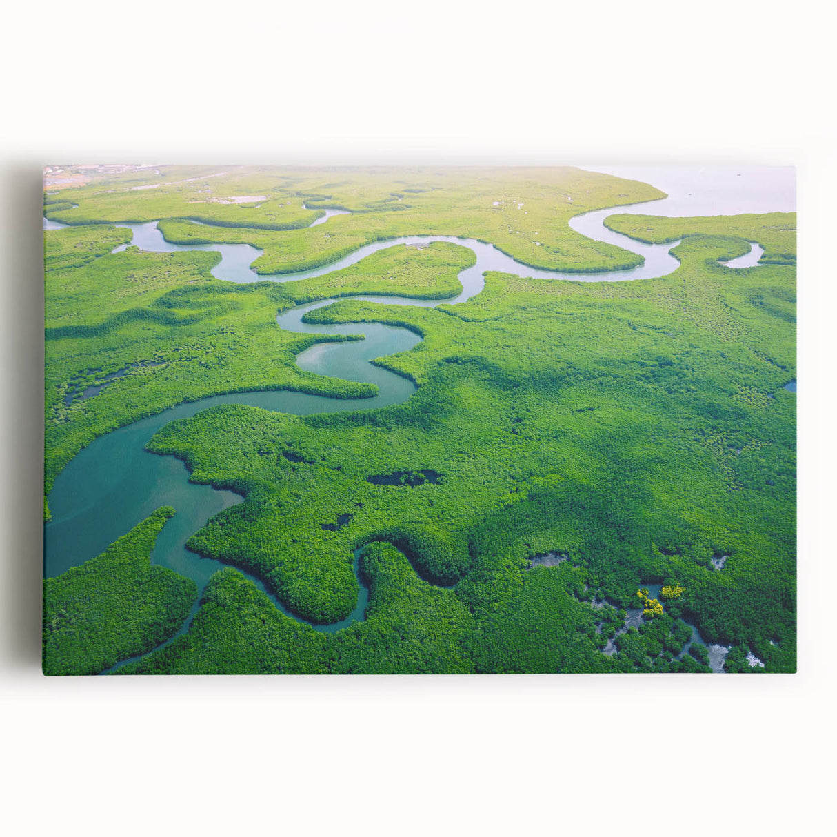 Vibrant rainforest landscape wall art on stretched canvas, showcasing lush greenery and vivid colors, ideal for home decor and nature enthusiasts.