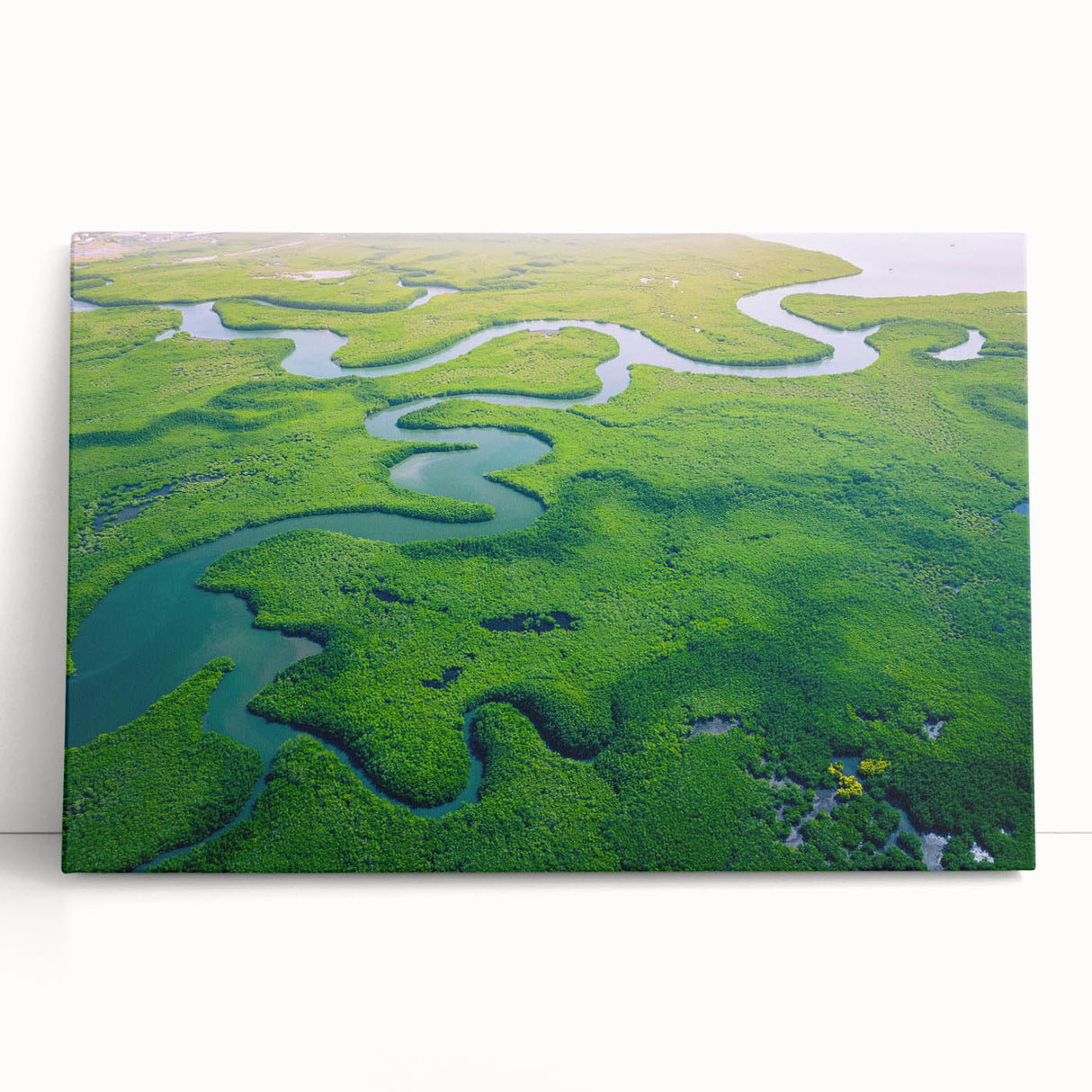 Stretched canvas depicting a vibrant rainforest landscape, showcasing lush greenery and exotic flora, perfect for enhancing home decor with a tropical ambiance.