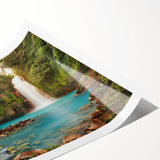 Vibrant rolled print of a lush rainforest landscape featuring vivid greens and intricate details, perfect for nature-inspired home decor. Ideal for wall art collection.