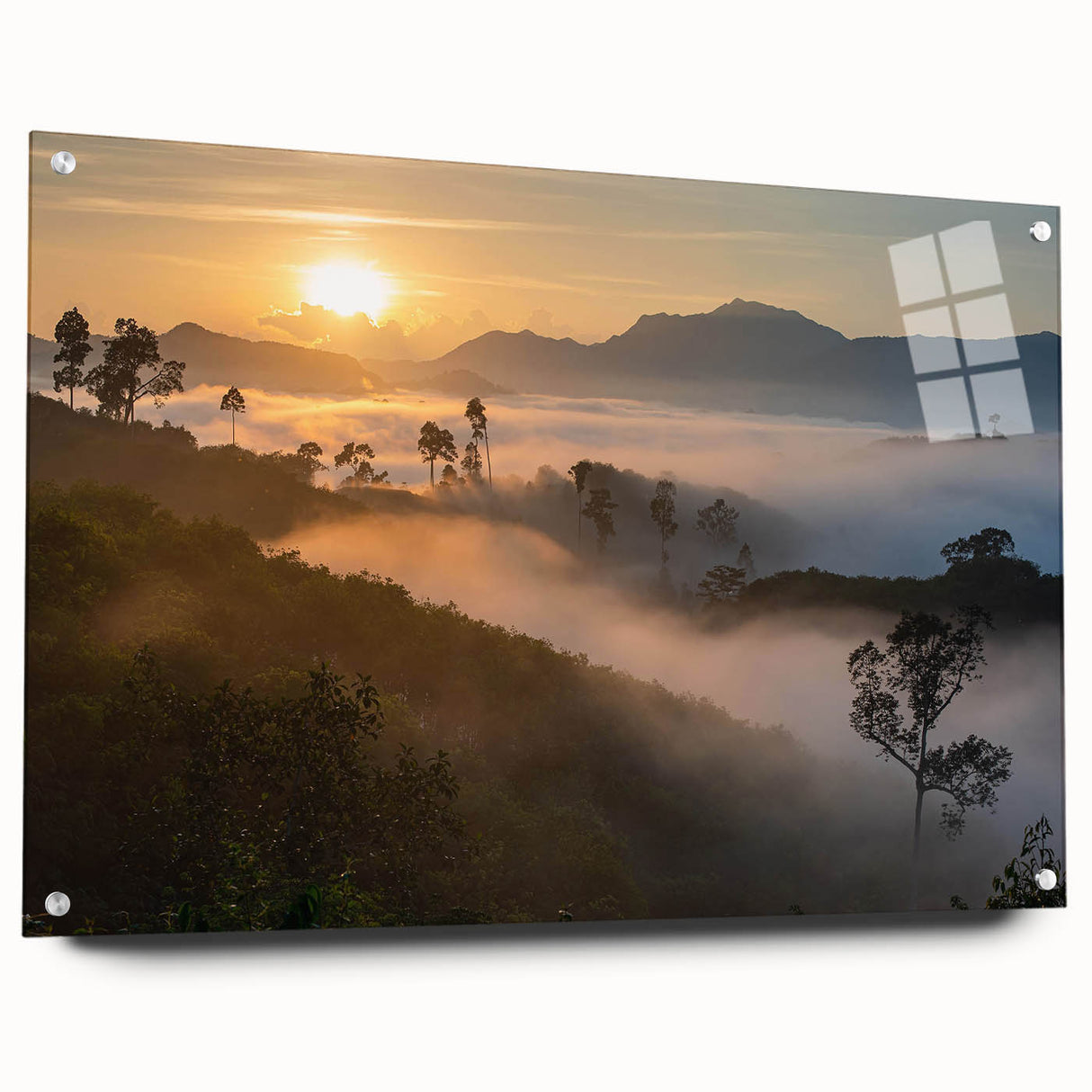 Acrylic glass wall art collection showcasing a vibrant rainforest landscape design, displayed from a side view with decorative pins, ideal for enhancing interior decor.