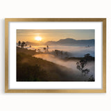 Framed wall art collection showcasing a vibrant rainforest landscape design with gold accents. Ideal for enhancing home decor with a touch of nature's beauty.