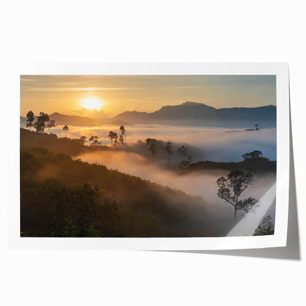 Vibrant rainforest wall art print showcasing lush green foliage and colorful tropical flowers, rolled and ready for framing, ideal for nature lovers' decor.