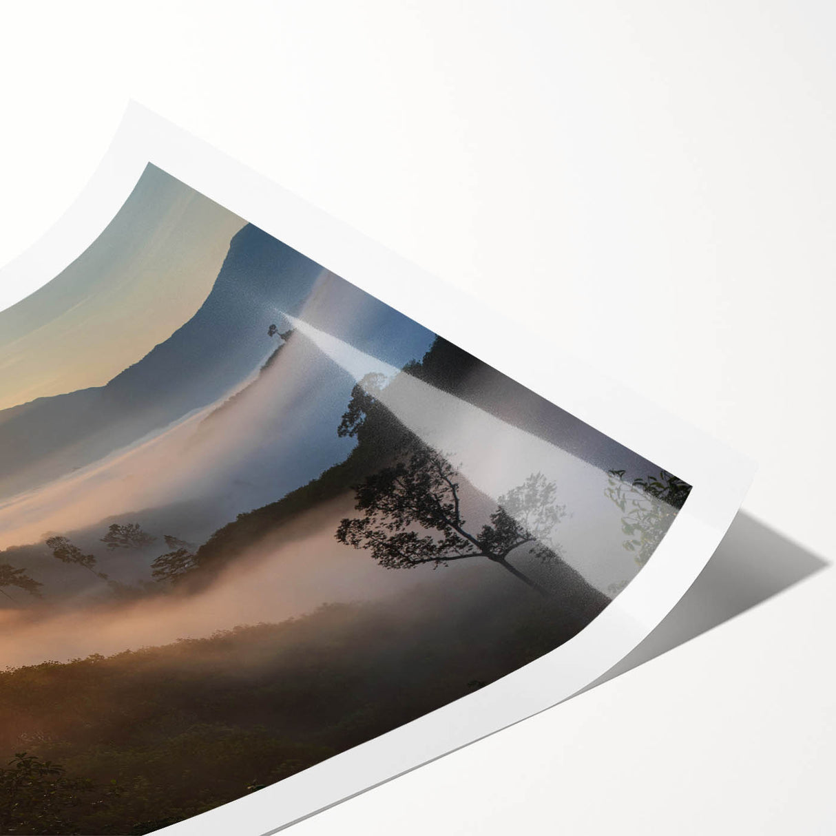 Vibrant rolled print showcasing a lush rainforest landscape with rich green foliage and intricate details, perfect for enhancing home decor with a natural theme.