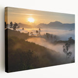 Stretched canvas wall art depicting a vibrant rainforest landscape with lush green foliage and colorful tropical flowers, ideal for nature-themed decor.