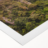 Vibrant rainforest landscape wall art on rolled canvas, showcasing lush green foliage and intricate flora details, perfect for adding a nature-inspired touch to home decor.