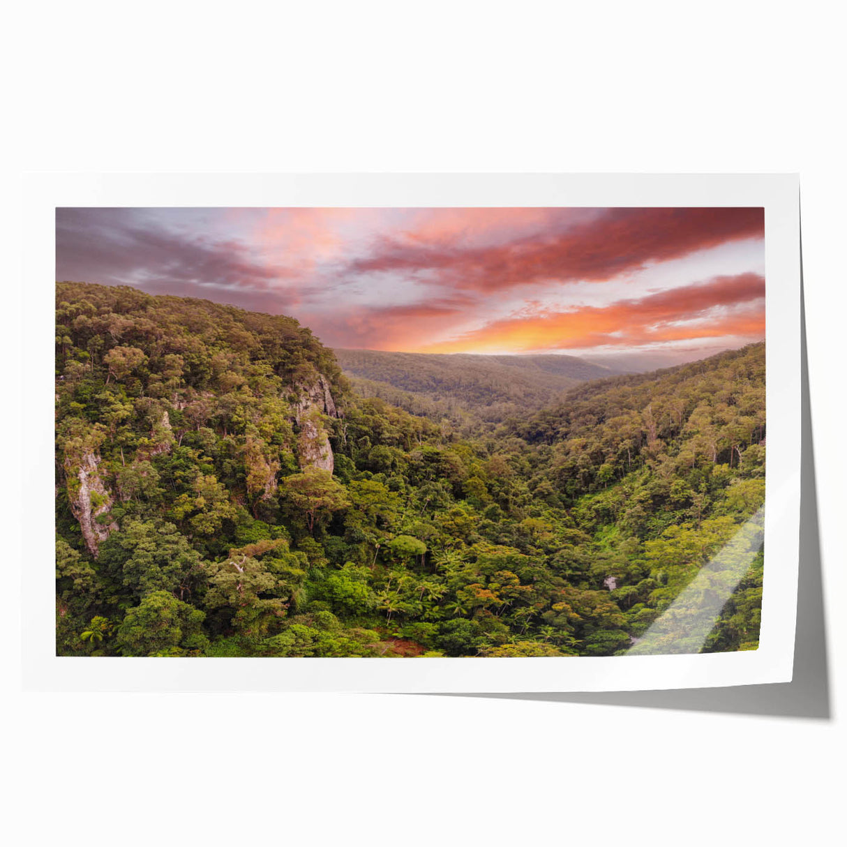 Vibrant rainforest-themed wall art print showcasing lush green foliage and exotic plants, perfect for enhancing home decor with a nature-inspired aesthetic.