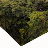 Close-up of a vibrant rainforest landscape wall art design on stretched canvas, showcasing rich greens and intricate details, perfect for nature-inspired decor.