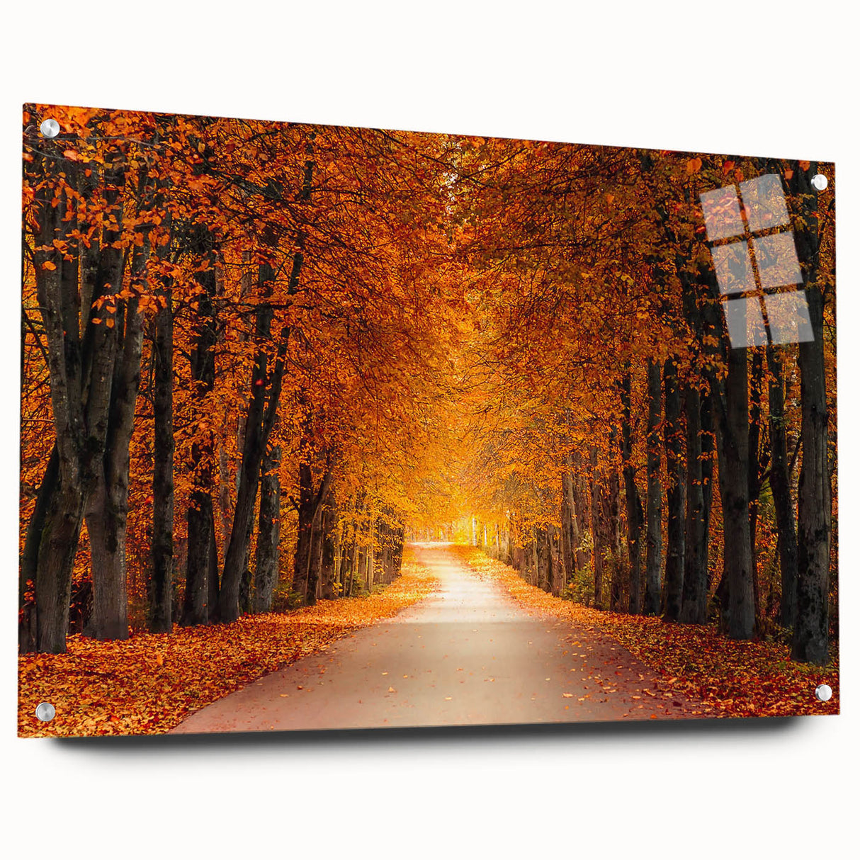 Acrylic wall art displaying a scenic landscape with roads, designed for modern decor. The artwork features vibrant colors and a side view layout, ideal for home or office.