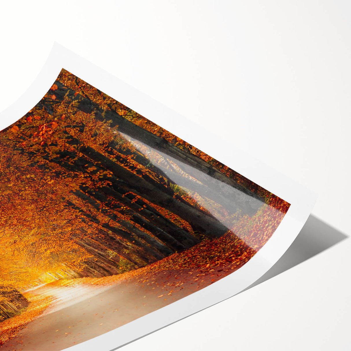 Rolled print of a serene landscape road design showcasing vibrant colors and natural scenery, ideal for home decor or office wall art. Perfect for enhancing interior aesthetics.