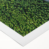 Rolled canvas artwork showcasing a vibrant landscape road design, featuring dynamic colors and textures, ideal for modern home decor, packaged securely in a cardboard tube.