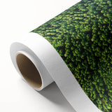 Rolled canvas showcasing vibrant landscape road design wall art, featuring rich colors and intricate details, perfect for modern home decor.