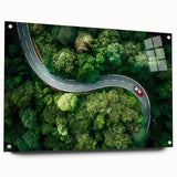 Acrylic glass wall art showcasing a vibrant landscape design featuring winding roads and lush greenery, displayed from a side view with decorative pins. This art piece adds a modern touch to any room's decor.