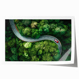 Rolled print showcasing a vibrant landscape road design with rich colors and intricate details, ideal for enhancing home decor in modern settings.