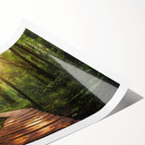 Rolled print showcasing a vibrant landscape design with winding roads and lush greenery, perfect for home decor, packaged in a protective cardboard tube.