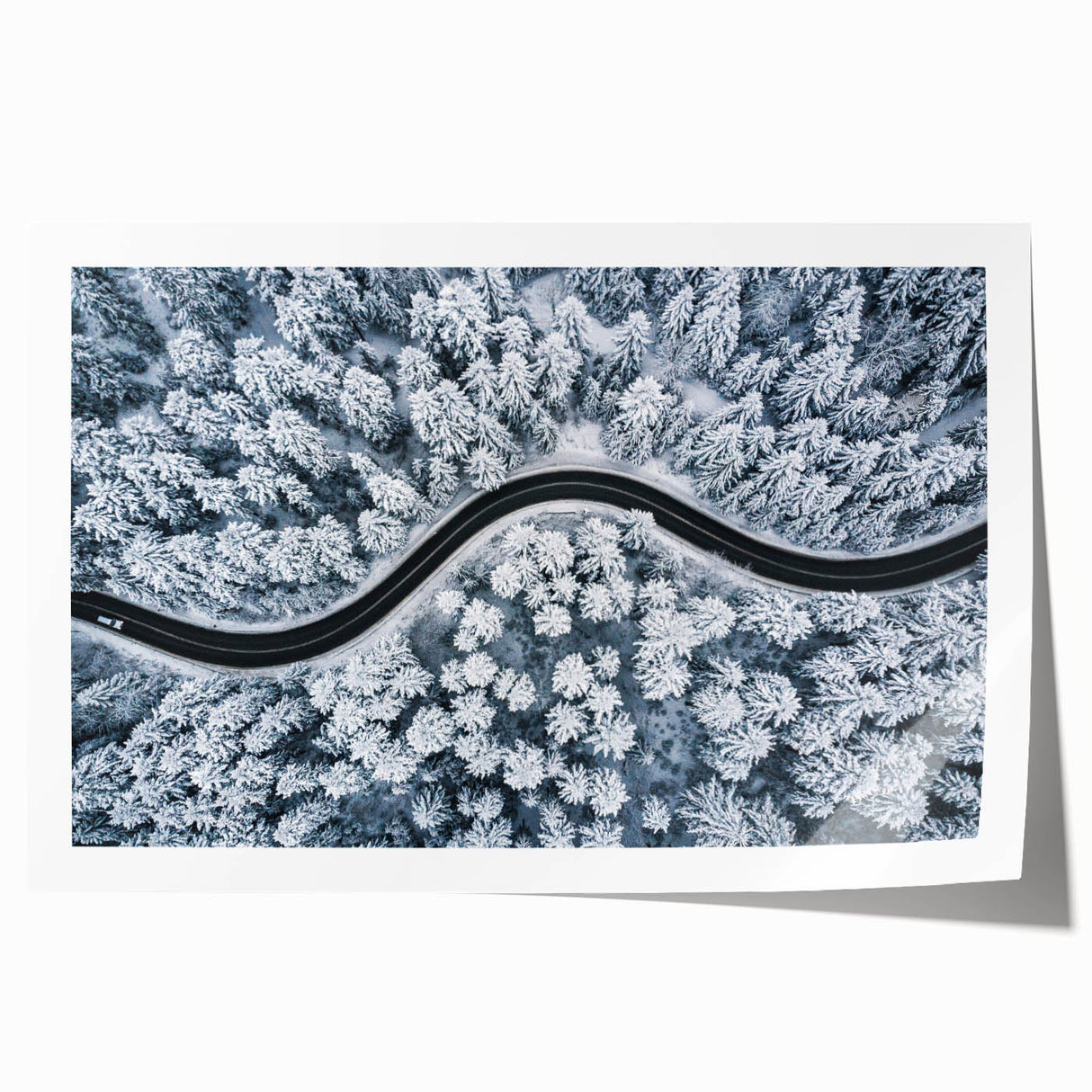 Vibrant rolled print showcasing a scenic landscape road design, featuring rich colors and intricate details, ideal for home decor or art enthusiasts.