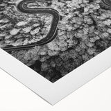 Rolled canvas wall art showcasing a vibrant landscape road design, featuring lush greenery and a winding road under a bright blue sky, perfect for modern decor.