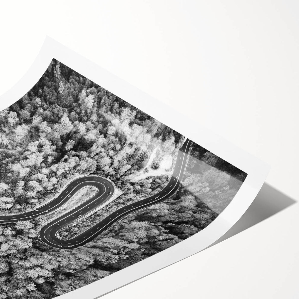 Abstract landscape wall art print showcasing a vibrant road design with rich colors and intricate details, rolled and ready for framing or display.