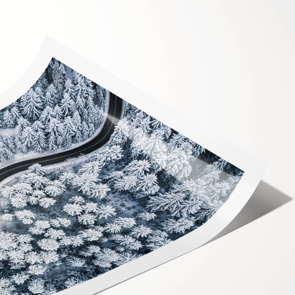 Abstract landscape wall art print showcasing a serene road scene with vibrant colors, rolled and ready for framing, emphasizing nature's beauty and tranquility.