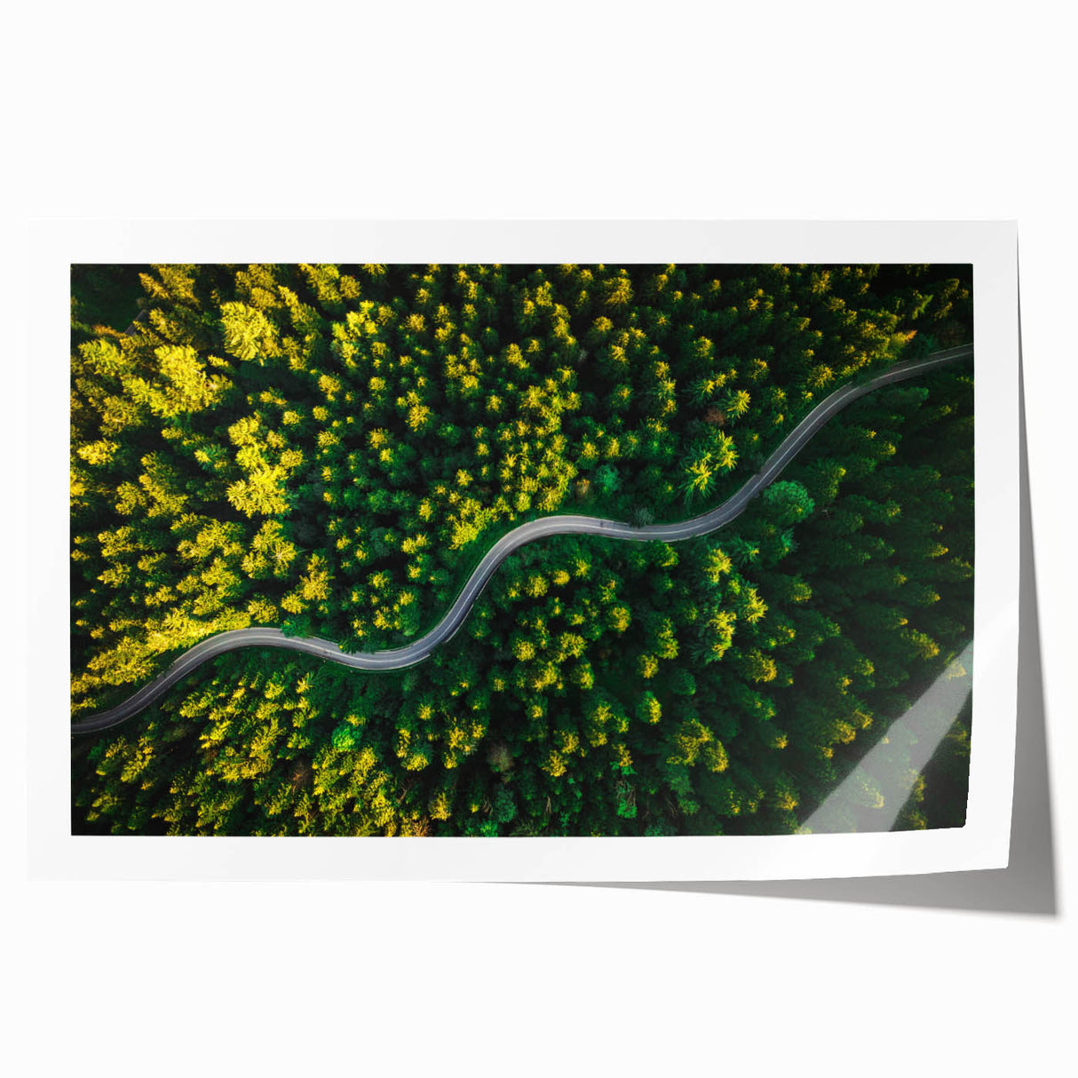Rolled print of a stunning landscape road design showcasing vibrant hues of green and blue, perfect for home decor or art enthusiasts, packaged securely for delivery.