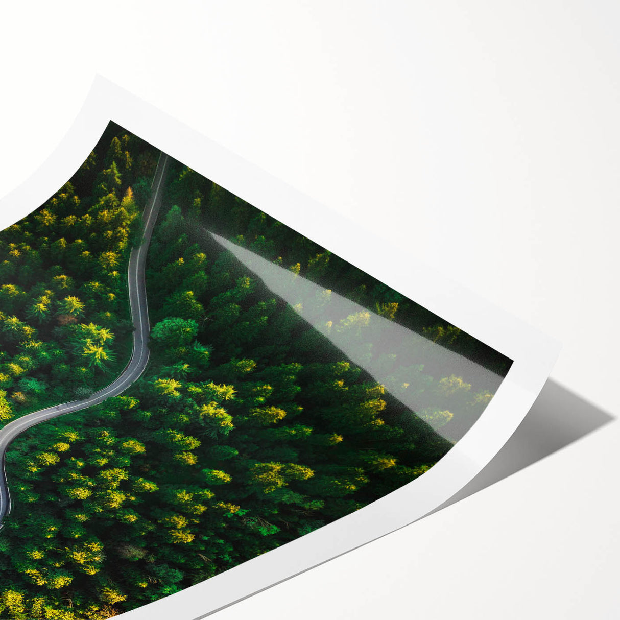 Vibrant rolled print of a serene landscape road design, showcasing lush greenery and a winding path, ideal for home decor enhancement.