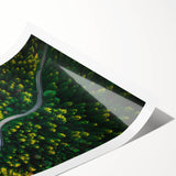 Vibrant rolled print of a serene landscape road design, showcasing lush greenery and a winding path, ideal for home decor enhancement.