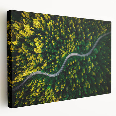 Stretched canvas wall art showcasing a serene road landscape design, featuring vibrant colors and intricate details, perfect for home decor enthusiasts.